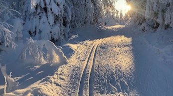 Melhus Orientering inviterer til «skiorientering» på Kregneskjølen!!